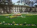 Pillnitz (123)